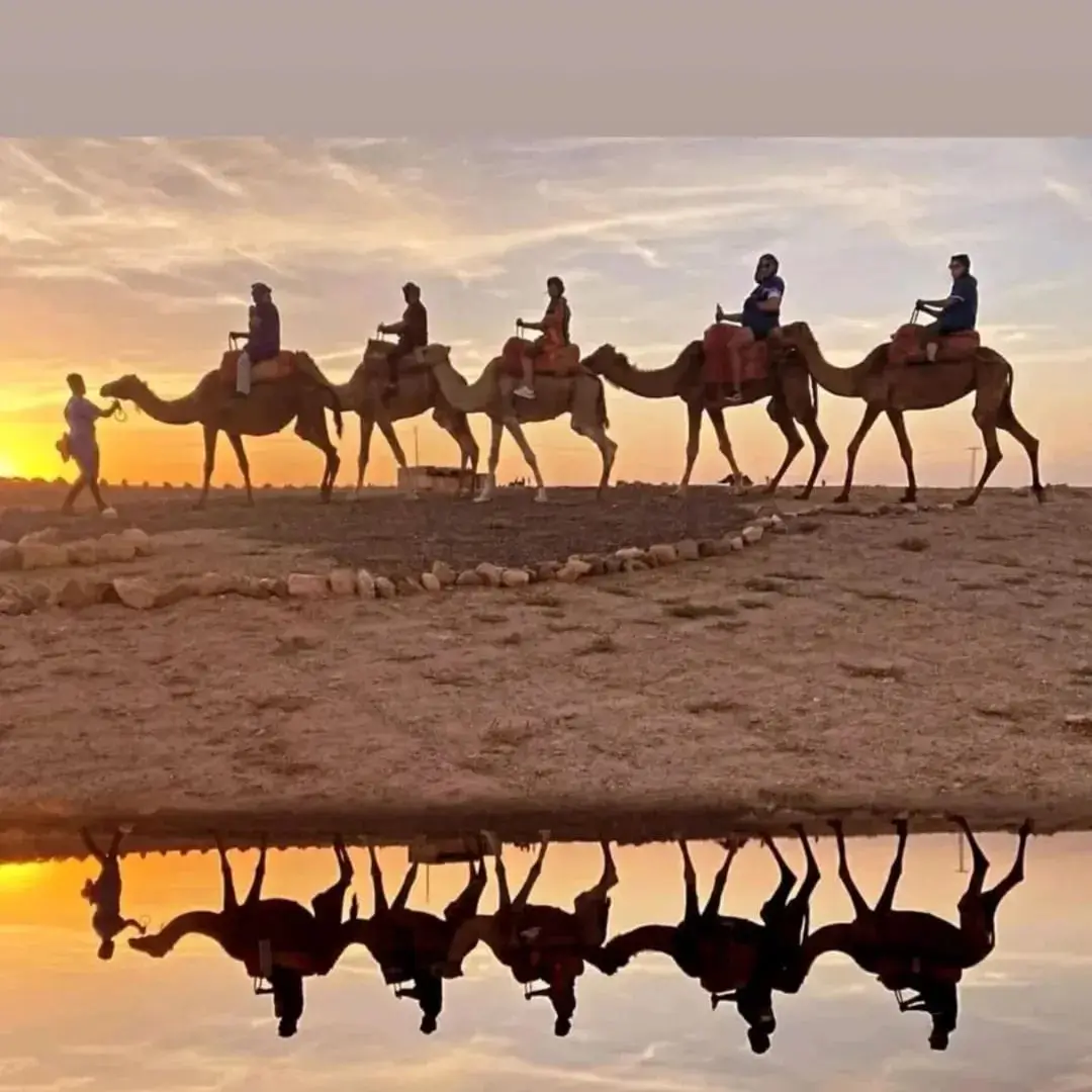 Camel Ride at Sunset Agafay Gallery 3