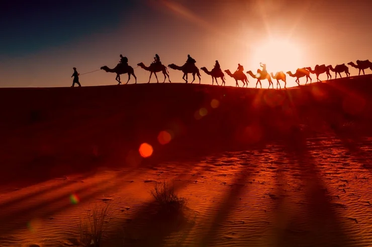 Camel Ride at Sunset Agafay Gallery 4