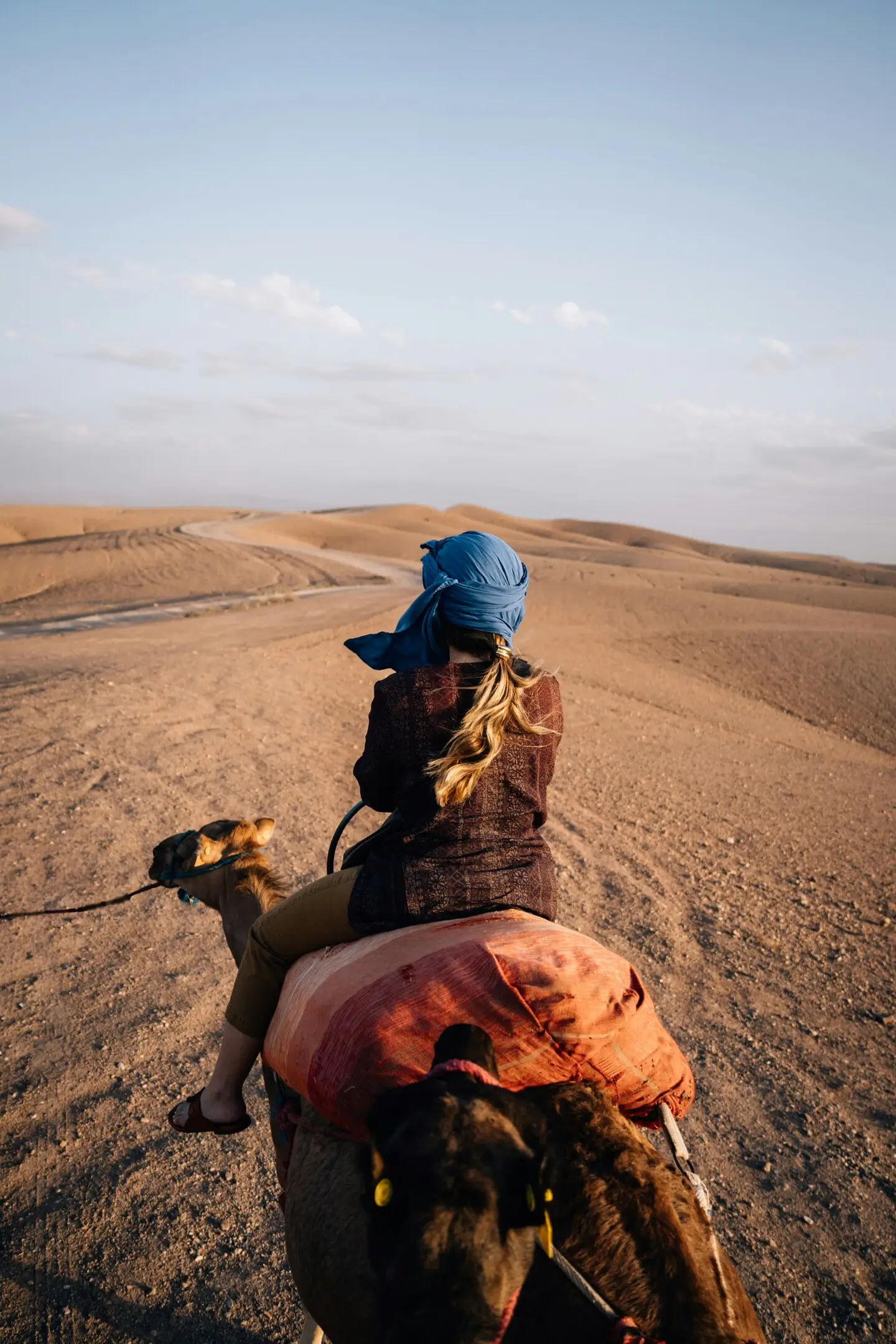 Camel Ride at Sunset Agafay Gallery 7